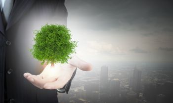 Wzrośnie rola organizacji ekologicznych w realizacji inwestycji